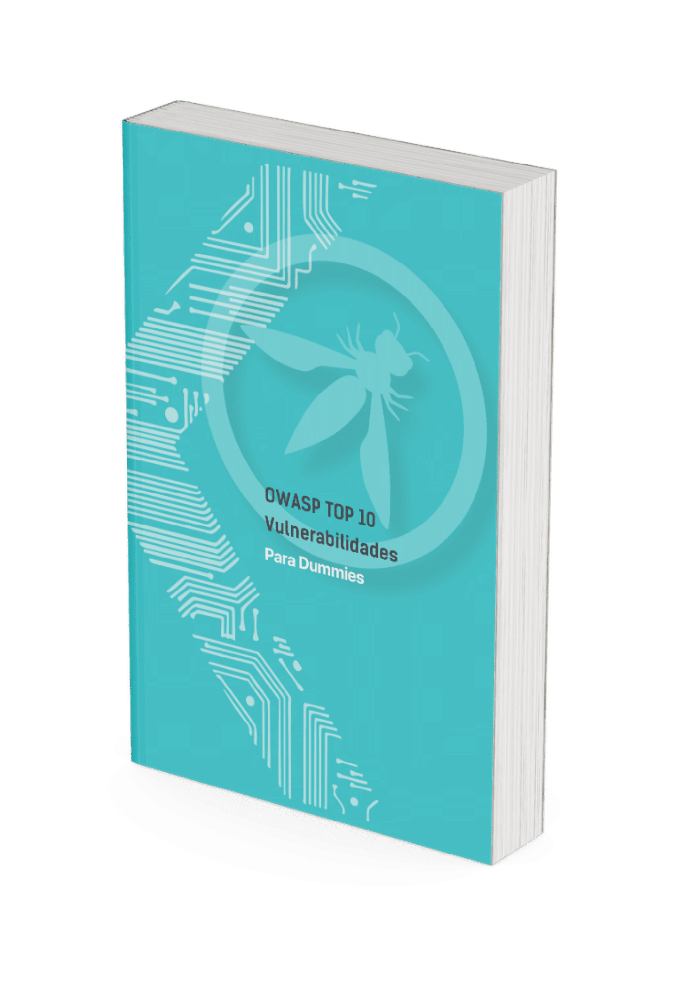 Guía gratuita OWASP TOP 10