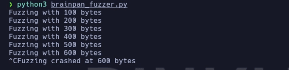 image 12 RINKU | Hacking ético desde Ø